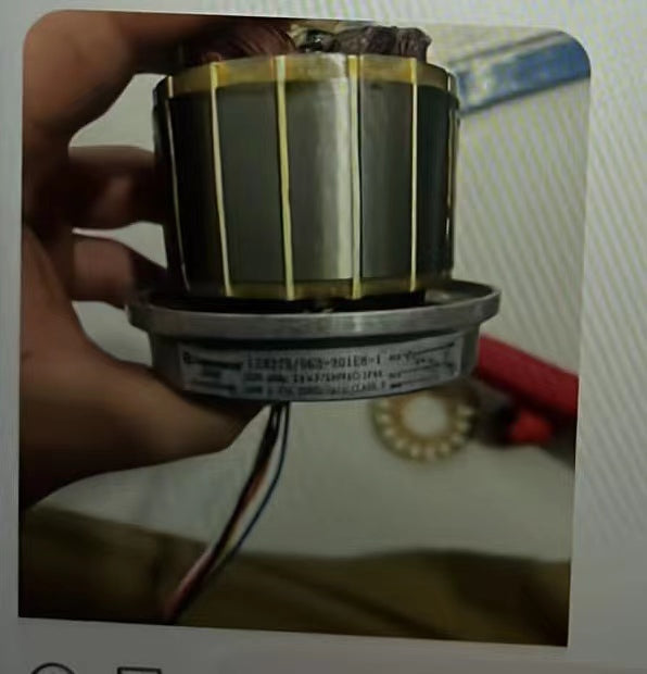 110V Motor for Denwenny F12D